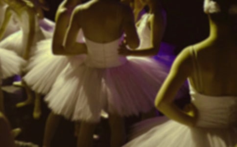 ��СӢ������ٹ����������