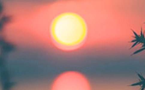 2024�����ݰ����ľ���27��