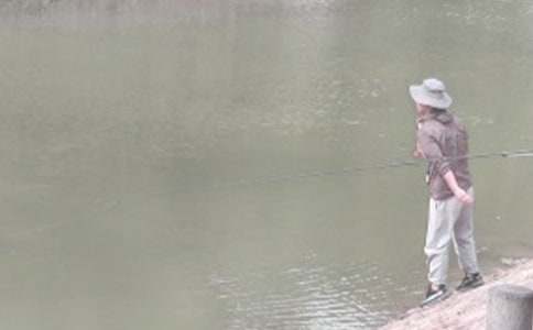 《钓鱼的启示》读后感15篇