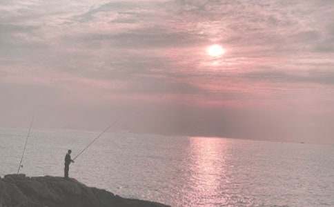 钓鱼的启示读有感(15篇)