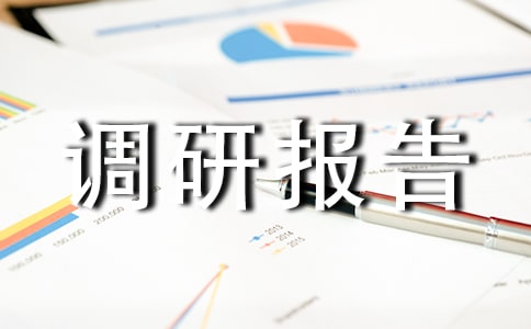 专题调研报告15篇【实用】
