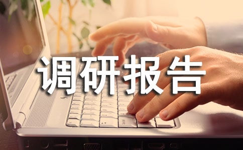 民生工作调研报告