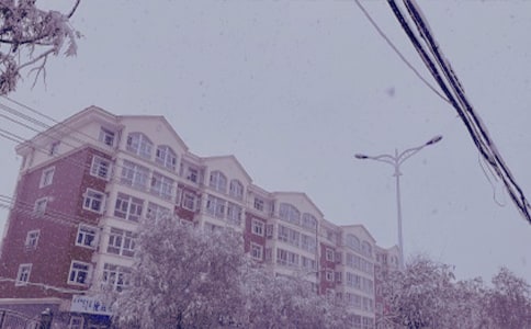 ����ѩ��ů���İ�