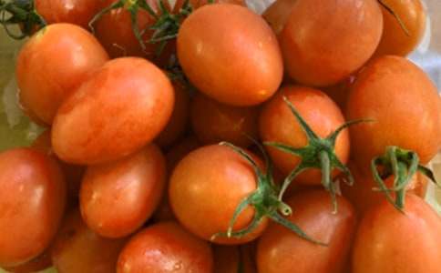 读《番茄太阳》有感