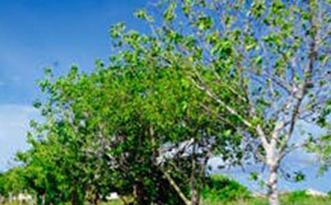 ��д�羰�ĳ��Ｐ����