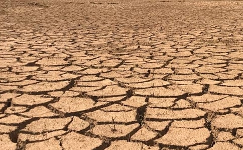 ������λ�Į���͸ɺ�����ʵ����