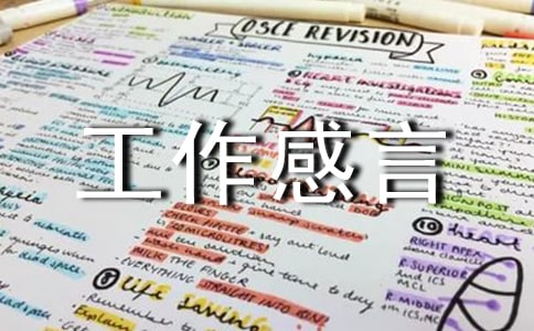 ���㵳����������