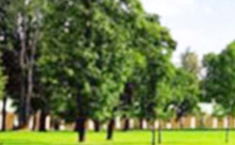 ���ر����乫԰���İ�