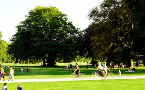 ������԰�ĵ���᷶�� �α�����԰����