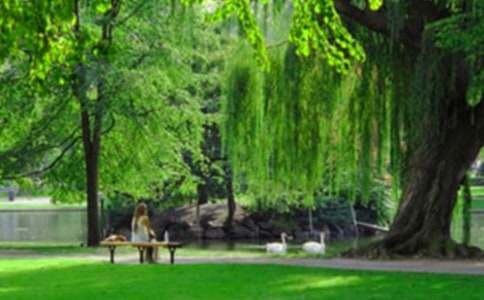 侏罗纪公园的观后感