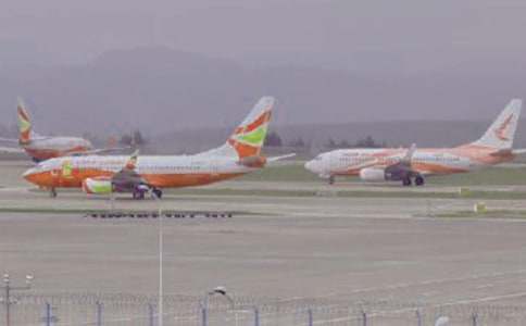 �񺽾ֳ��¹棺��Сʱ�ڶ̳̺�������ṩ�ȷ�