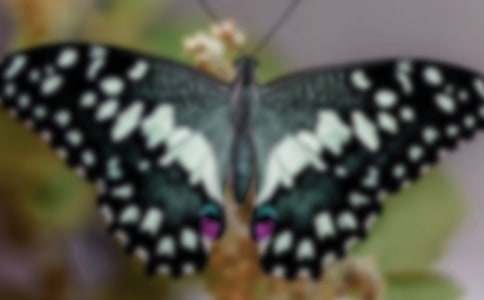 2024�����ݺ����ľ���28��