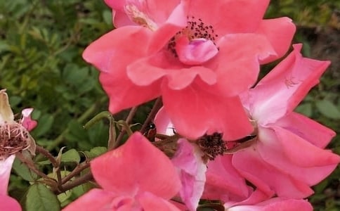 �����Ļ������з���