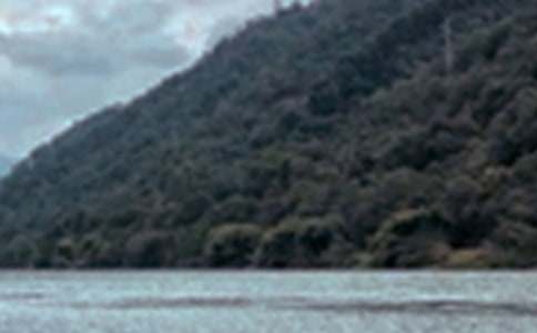 ������д��ɫ�����ĳ���ϼ�