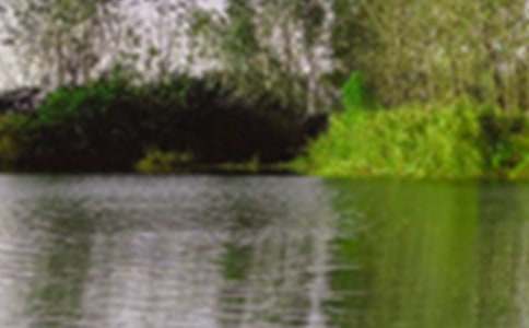 描写景色美的成语