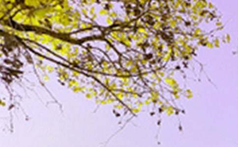 ������ɫ�ĳ���þ�