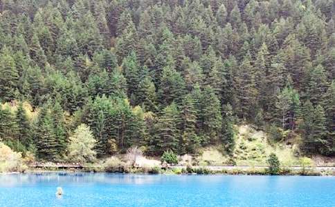 ��կ�������ĵ�