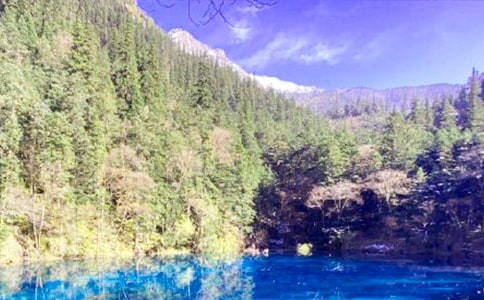 ��կ���ĵ����