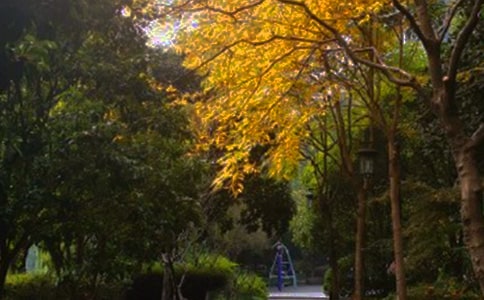 ����������ı�ҵ����