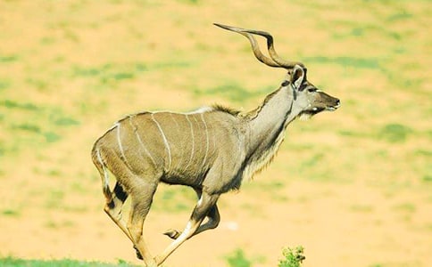 ��������ľ���иУ���ѡ16ƪ��