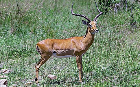 ����ľ�����о�ѡ15ƪ