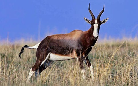 ��������Ĺ�ݡ�����У�ͨ��47ƪ��