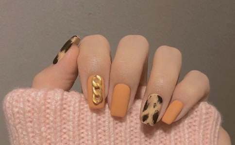 ɹ�����İ�270��