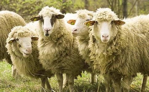 ����������򡷶��������