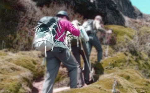 ������������ɽ�ĸ�Ц�İ�