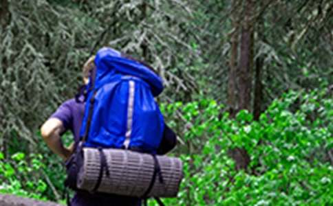 ��ɽ��߻���