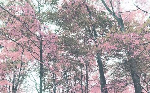 �＾��ͨ��ȫ�ĵ����