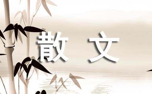 �����ɢ�ġ�ʵ�á�