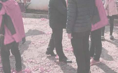 ̽�׼������ģ��