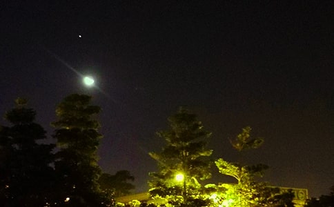 ������ܰ�����İ�95�侫ѡ