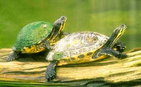 �����ڹ��������ľ���