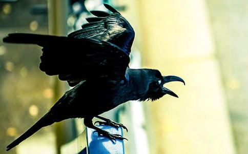 ����ѻ��ˮ�������