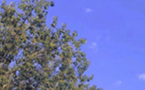 �簲˵˵����ѡ30�䣩