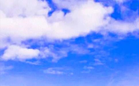 ��������Ȧ�簲���ԣ���ѡ40�䣩