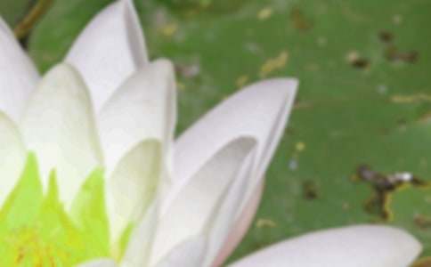 �����ľ������