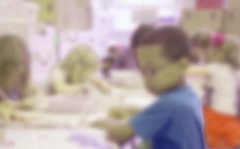 ����Сѧ���ۺ���������