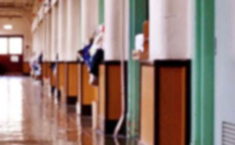 ѧУ��ҵ����������