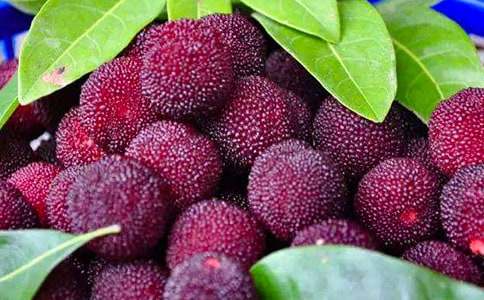 �й���÷�ľ�����ʣ���ѡ290�䣩