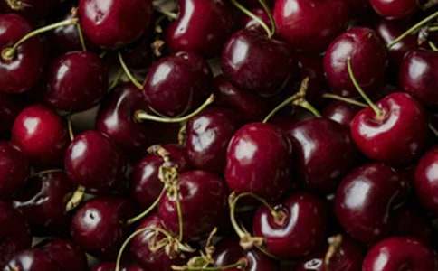 外公是棵樱桃树读后感(精选15篇)