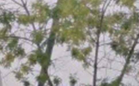 新的一月早安文案