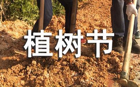 2015ֲ���ڻ�����������