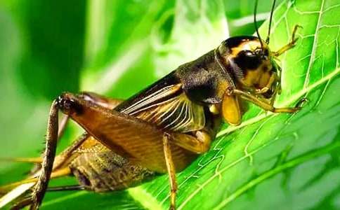 ���󰡷�����