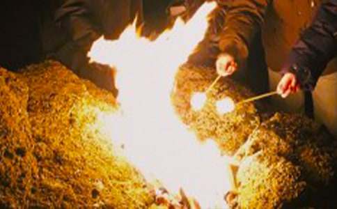 ���������߻�2017