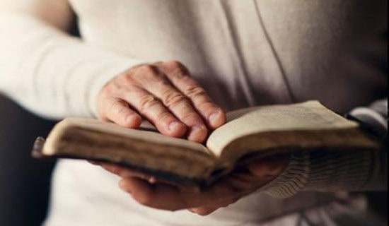 ������Ŀ�¡���Ķ����ο���