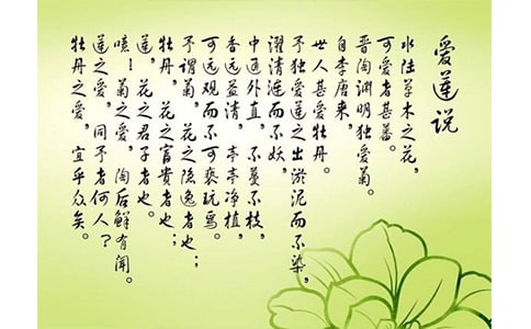 《爱莲说》读书心得