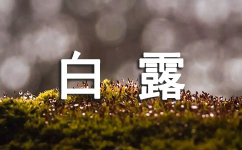 ��¶����¼